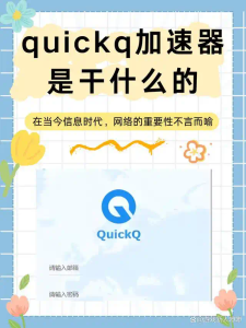 quickq电脑版连接后怎么开启伪装？